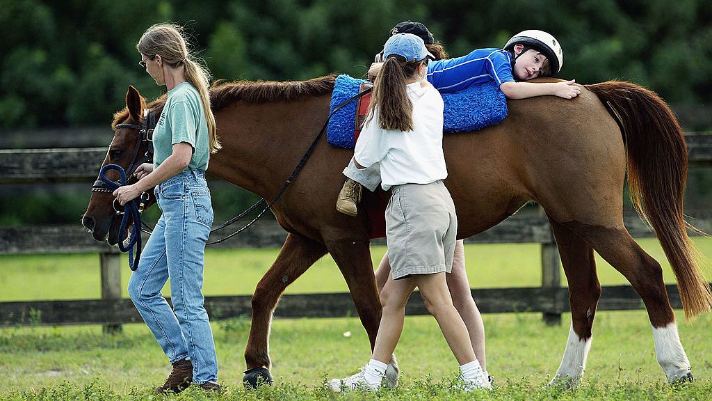 equine assisted therapy for cerebral palsy viosapp