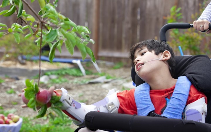 boy with cerebral palsy CP looking at a red apple in a wheelchair after telemedicine pediatrician advice on viosapp