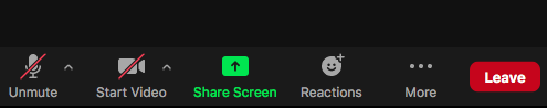 share screen toggle button at bottom of zoom window host